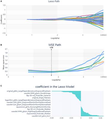 Building nonenhanced CT based radiomics model in discriminating arteriovenous malformation related hematomas from hypertensive intracerebral hematomas